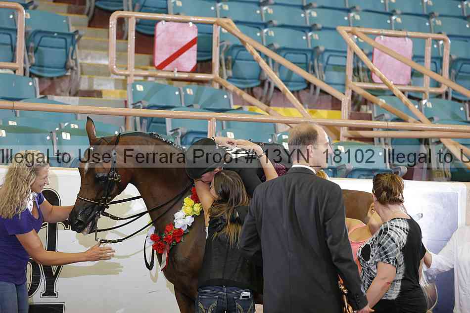 Proof 13yn_18102