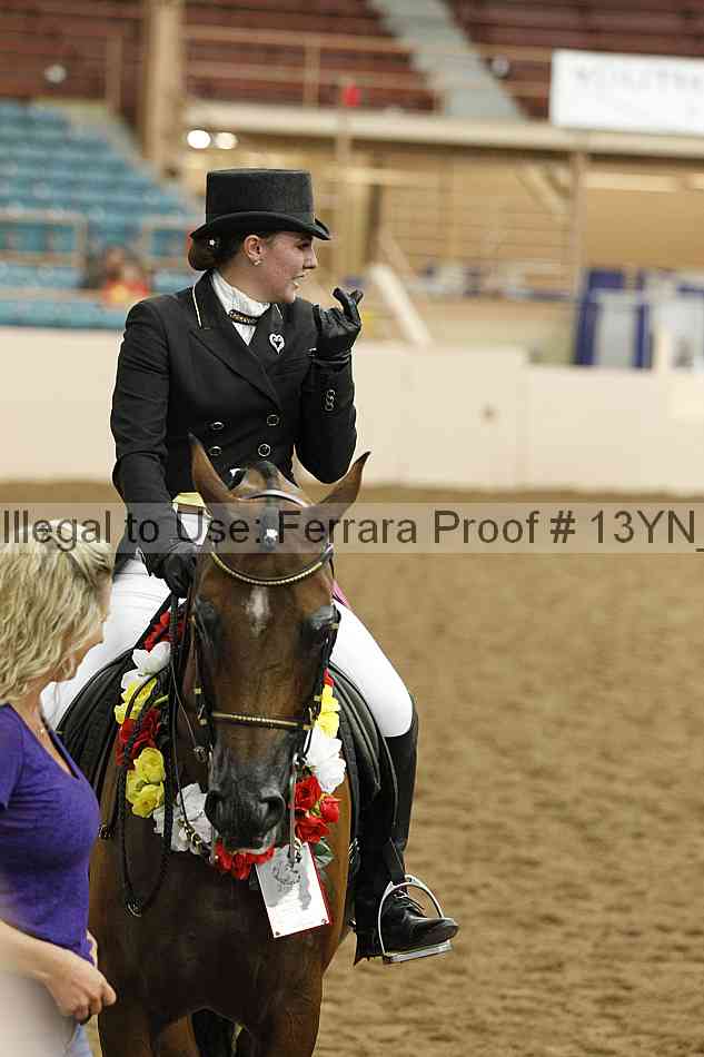 Proof 13yn_18104