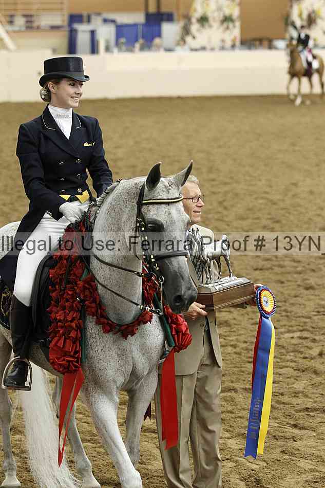 Proof 13yn_18129