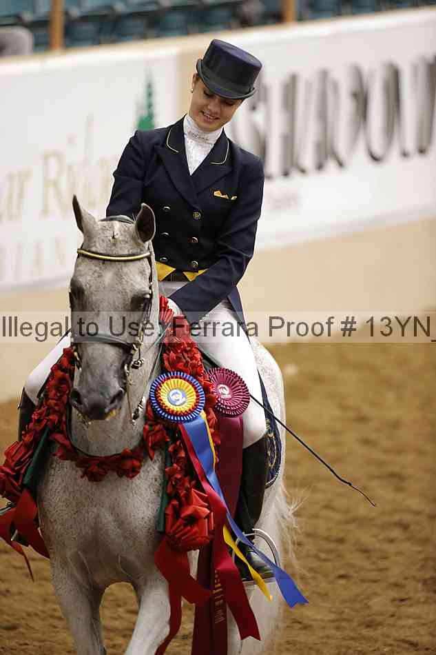 Proof 13yn_18142