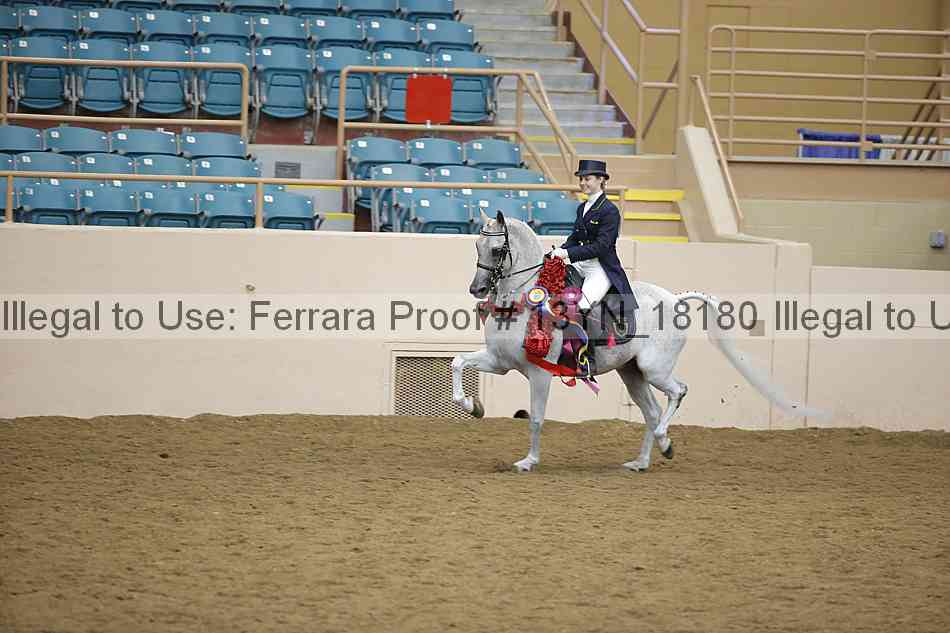 Proof 13yn_18180