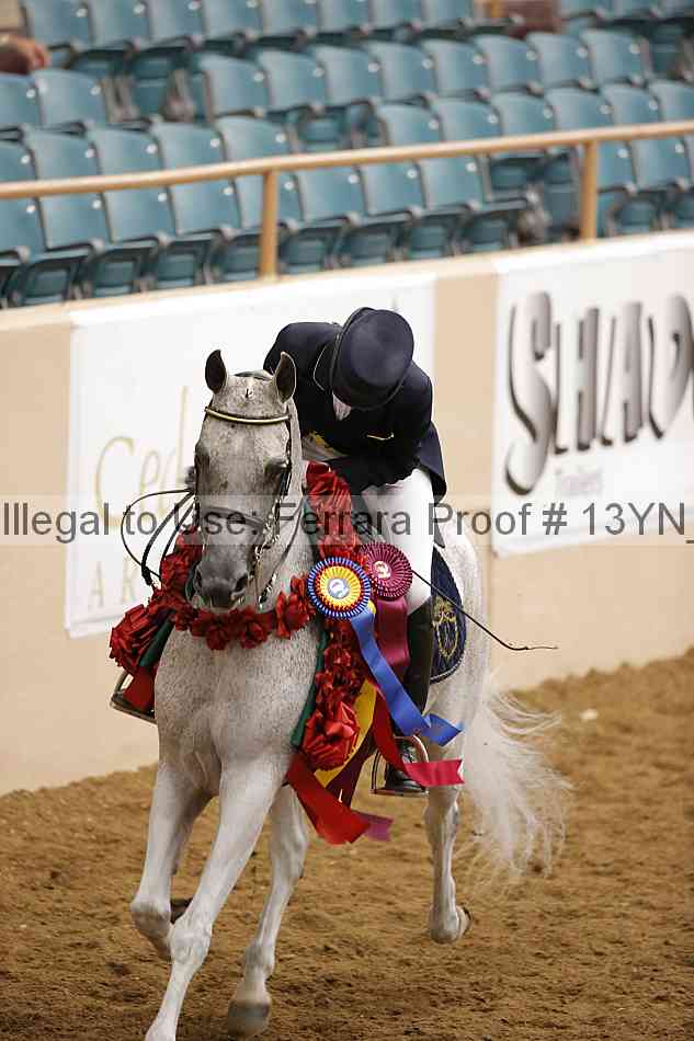Proof 13yn_18185