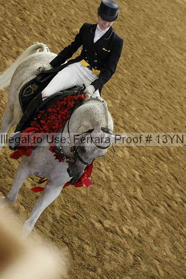 Proof 13yn_18187
