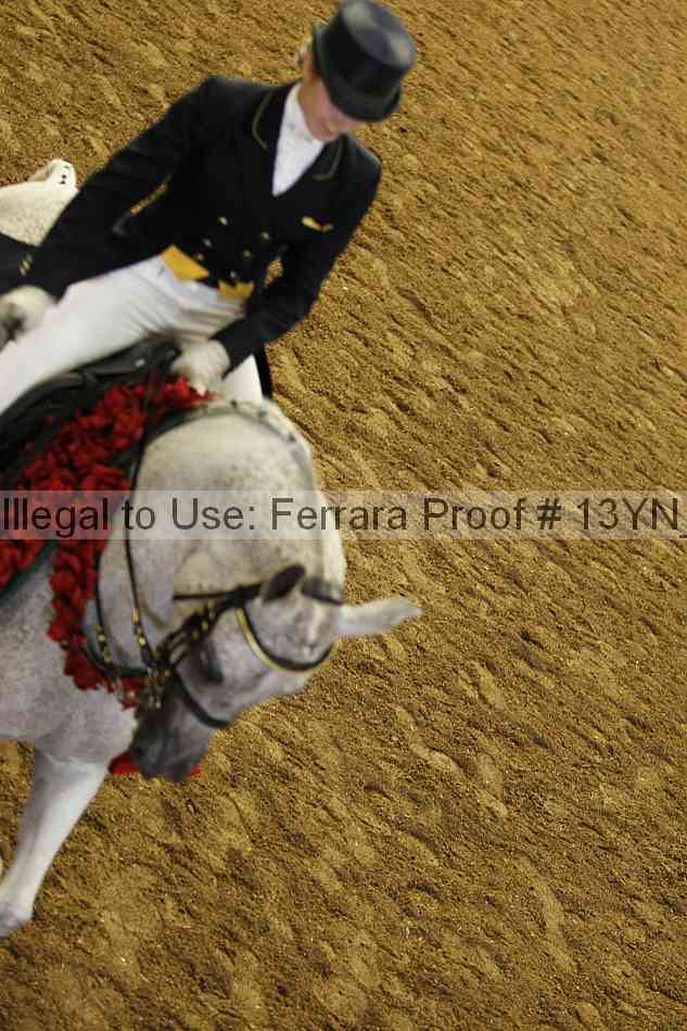 Proof 13yn_18188