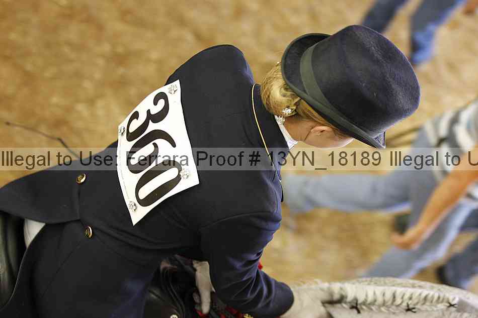 Proof 13yn_18189
