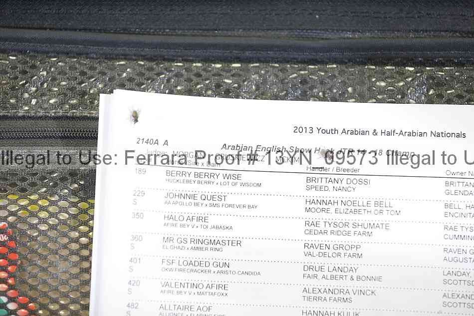 Proof 13yn_09573