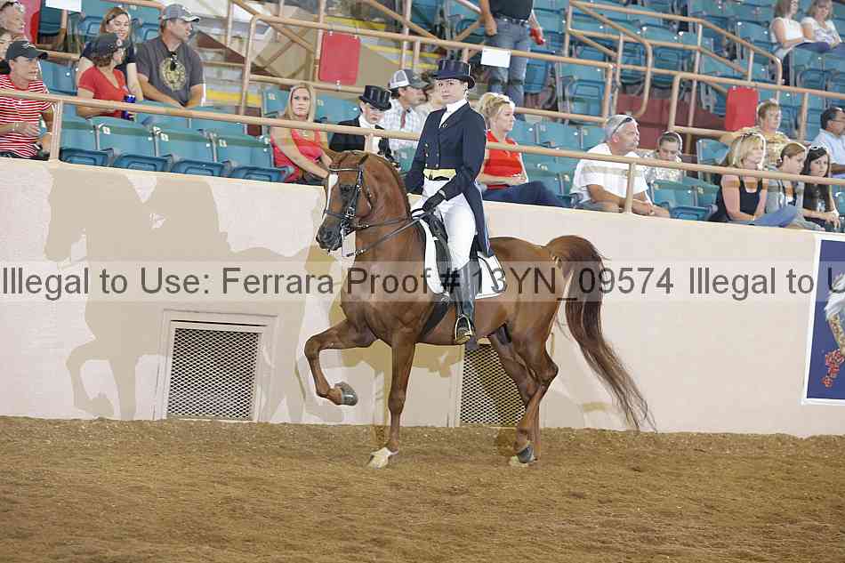 Proof 13yn_09574