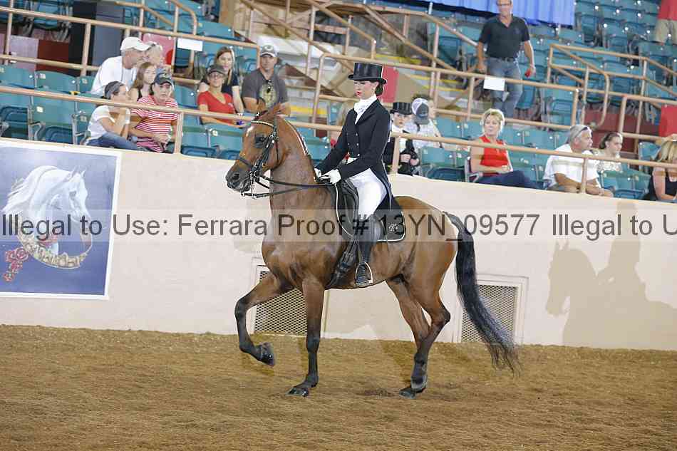 Proof 13yn_09577