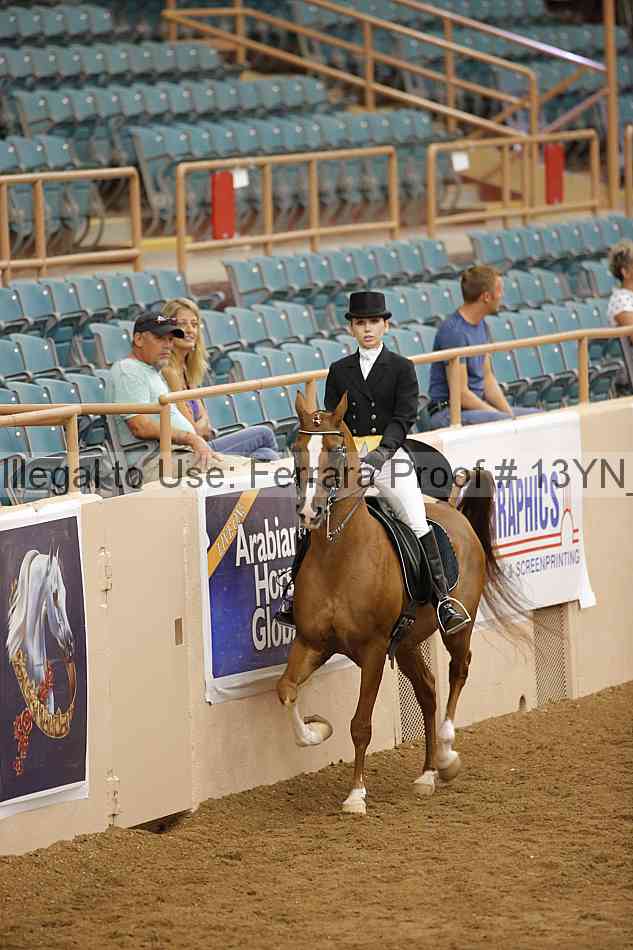 Proof 13yn_09578