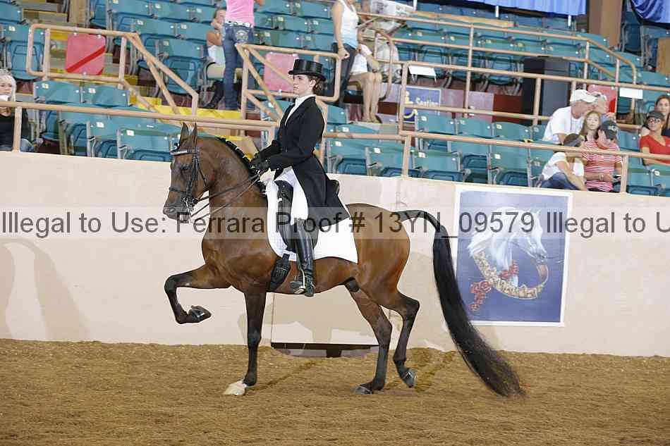 Proof 13yn_09579