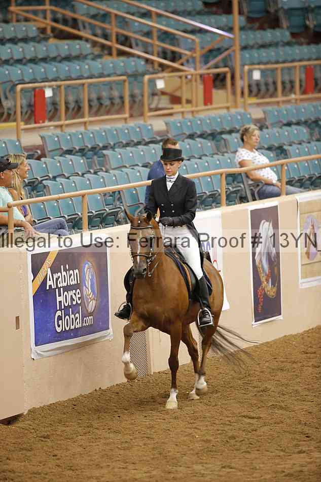Proof 13yn_09580