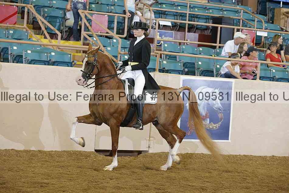 Proof 13yn_09581