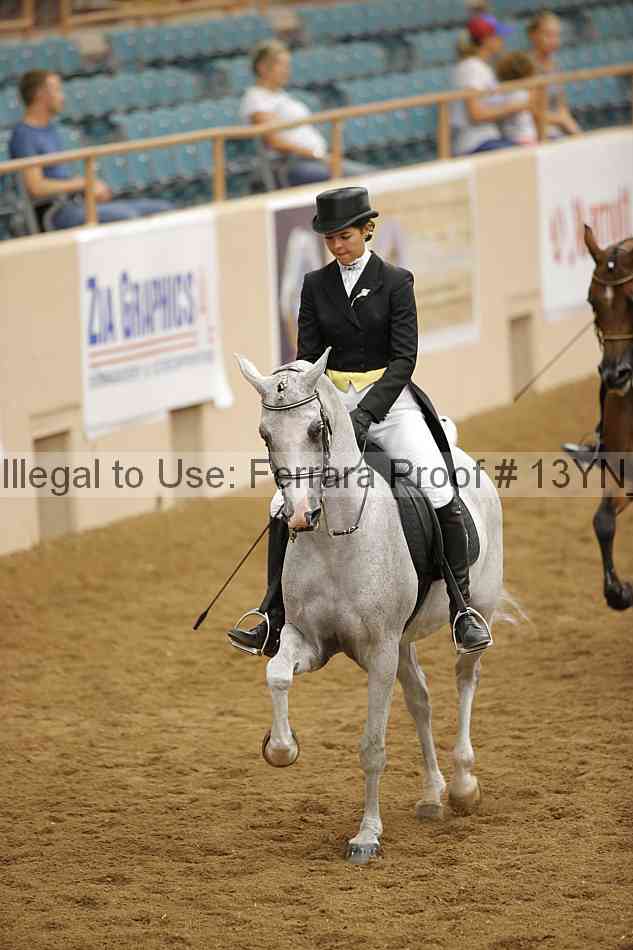 Proof 13yn_09582