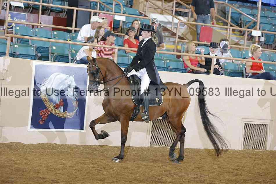 Proof 13yn_09583