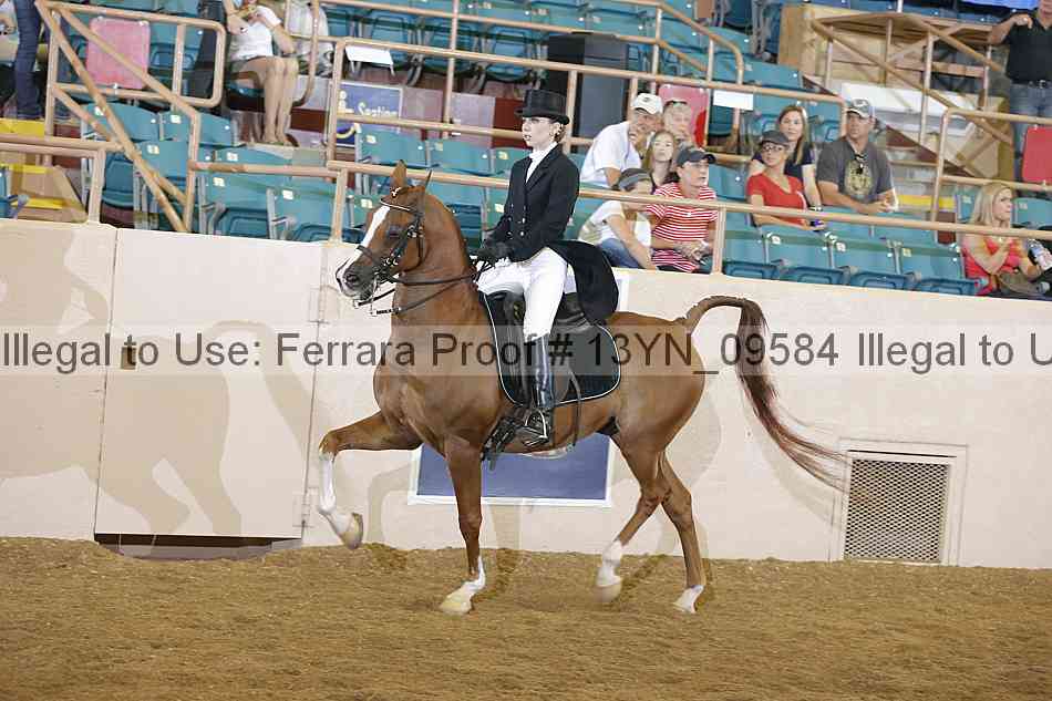 Proof 13yn_09584
