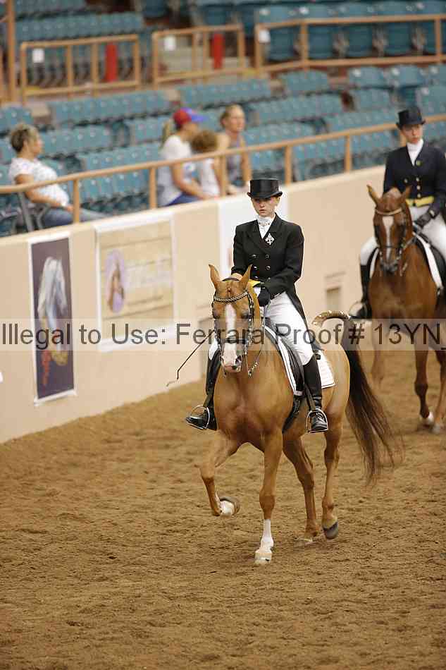 Proof 13yn_09585