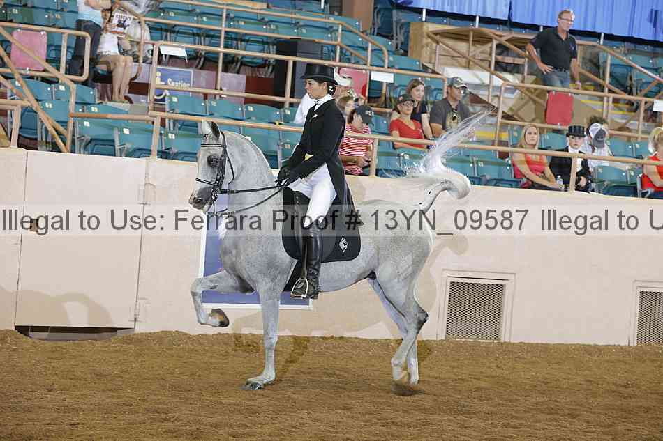 Proof 13yn_09587