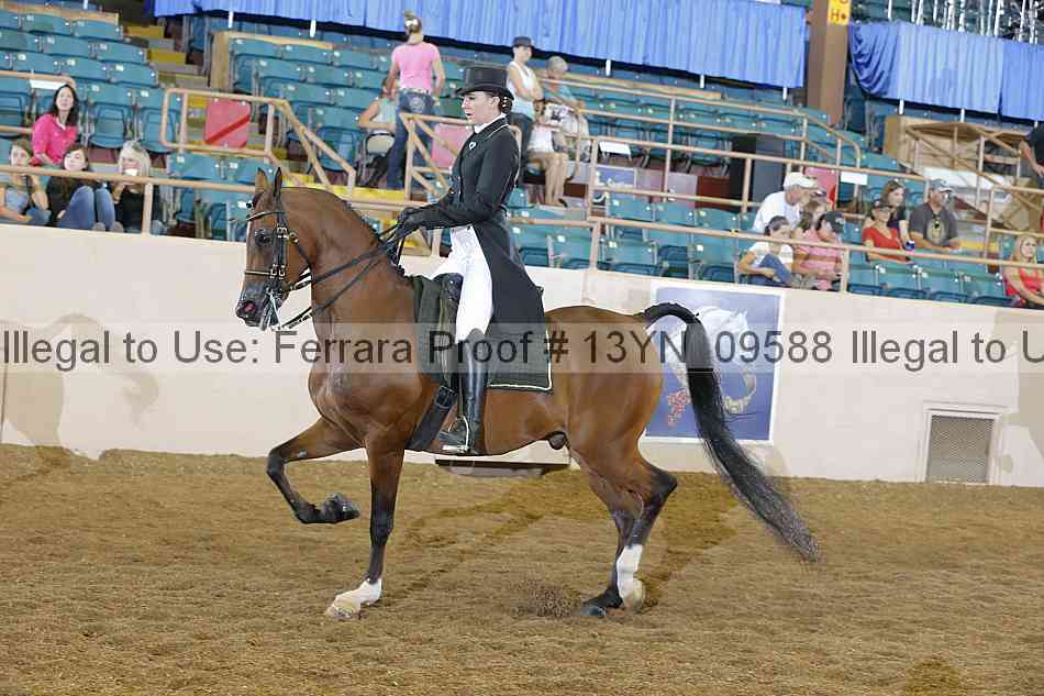 Proof 13yn_09588