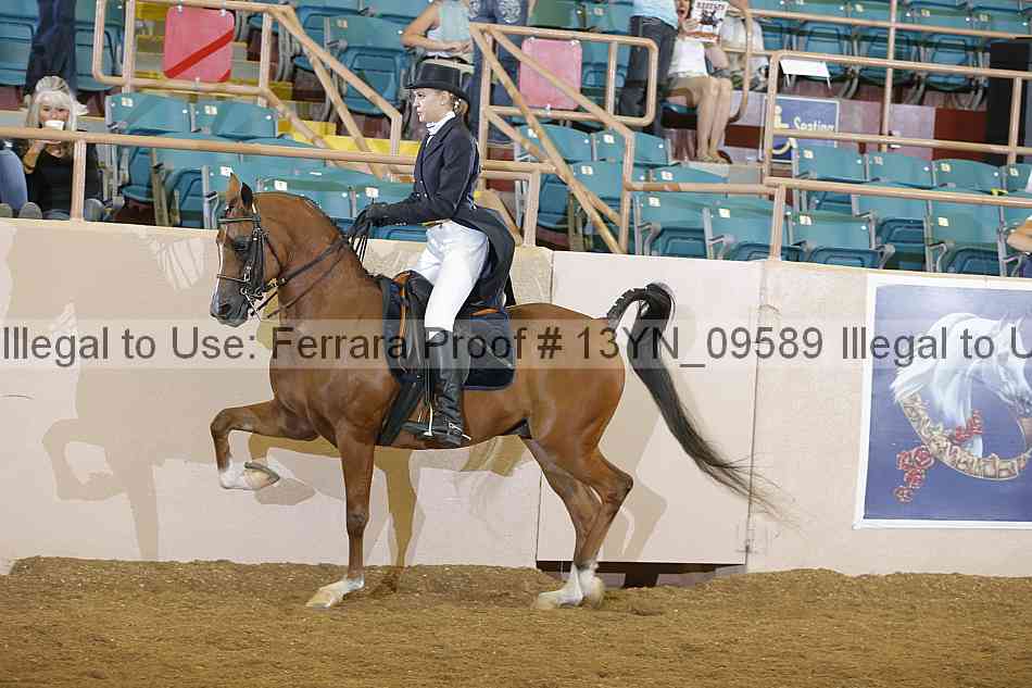 Proof 13yn_09589