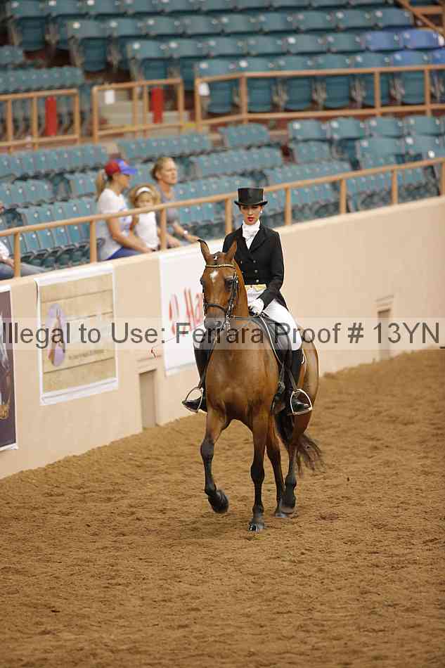 Proof 13yn_09590