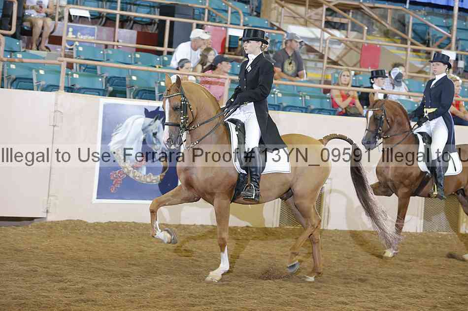 Proof 13yn_09591