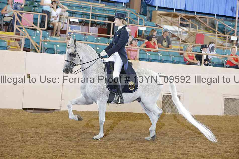 Proof 13yn_09592