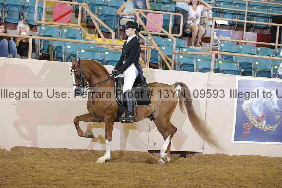 Proof 13yn_09593