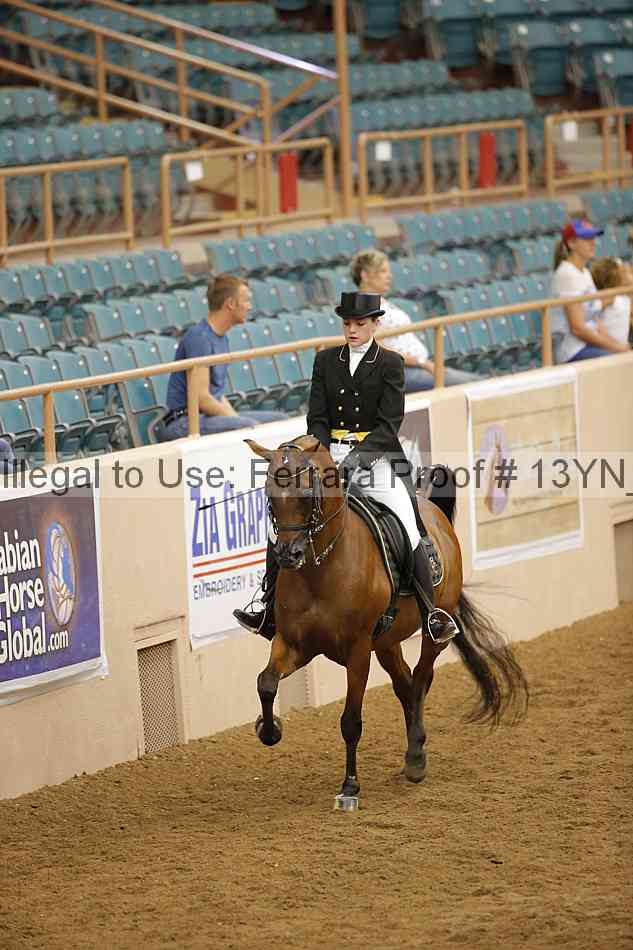 Proof 13yn_09594