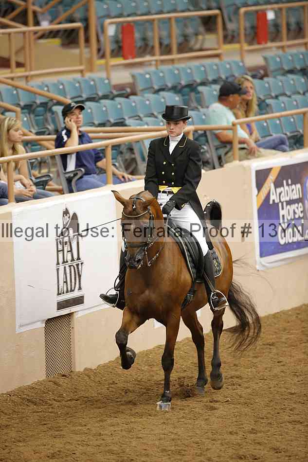 Proof 13yn_09595