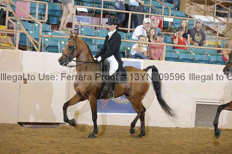 Proof 13yn_09596