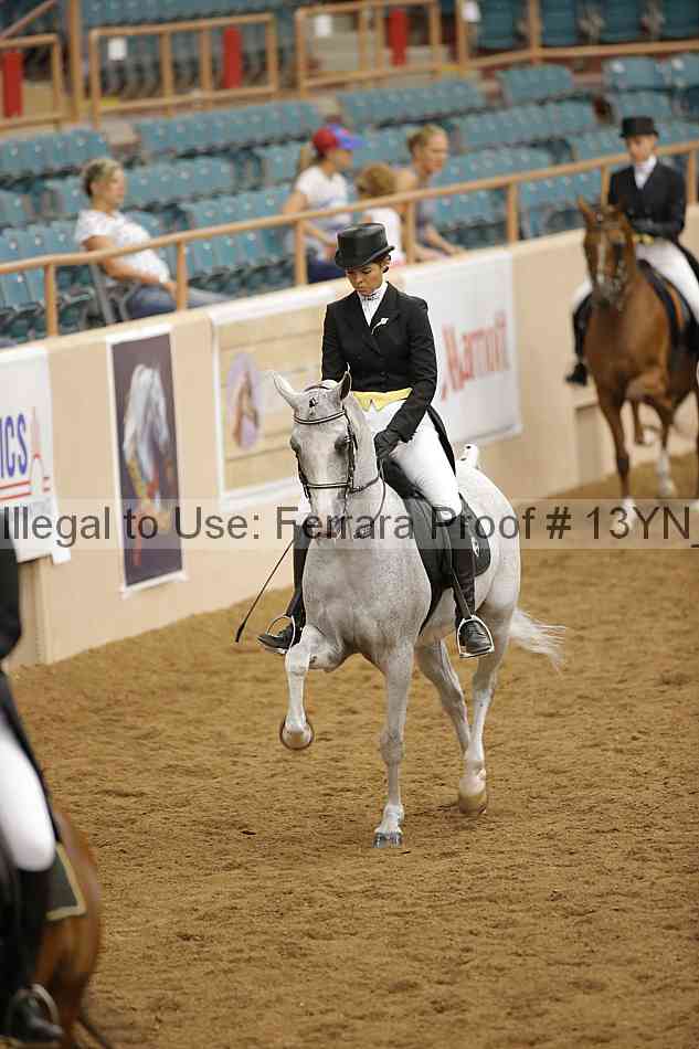 Proof 13yn_09597