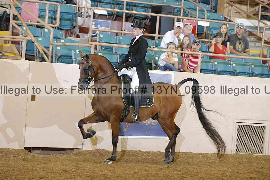 Proof 13yn_09598
