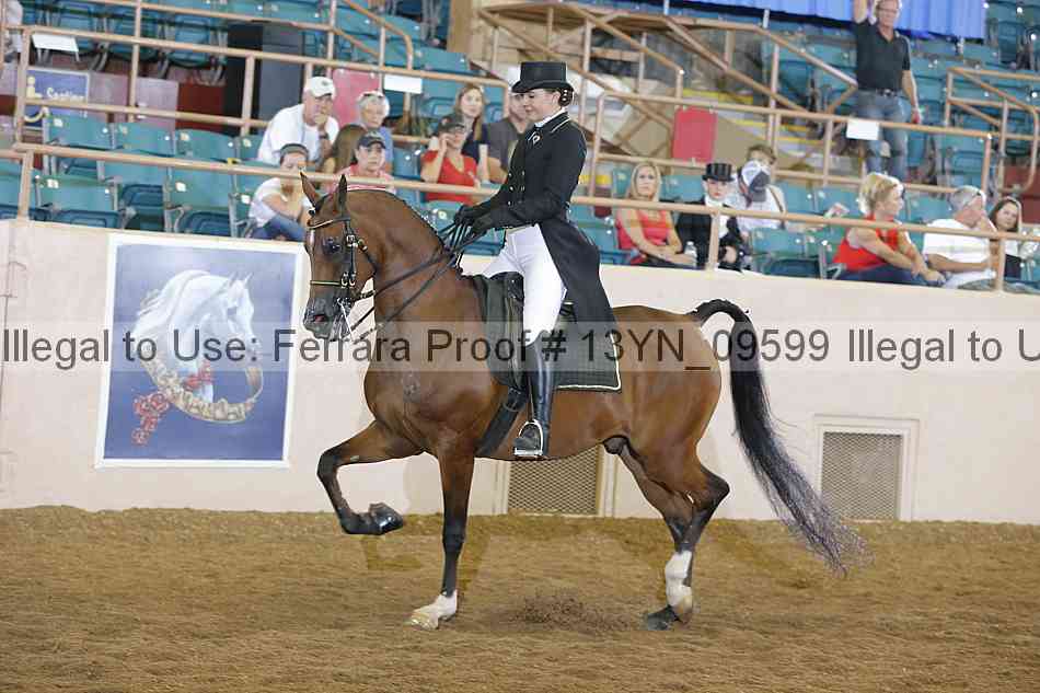 Proof 13yn_09599