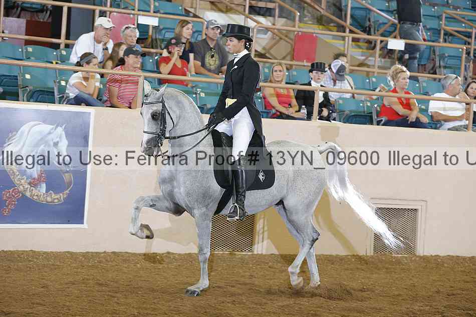 Proof 13yn_09600