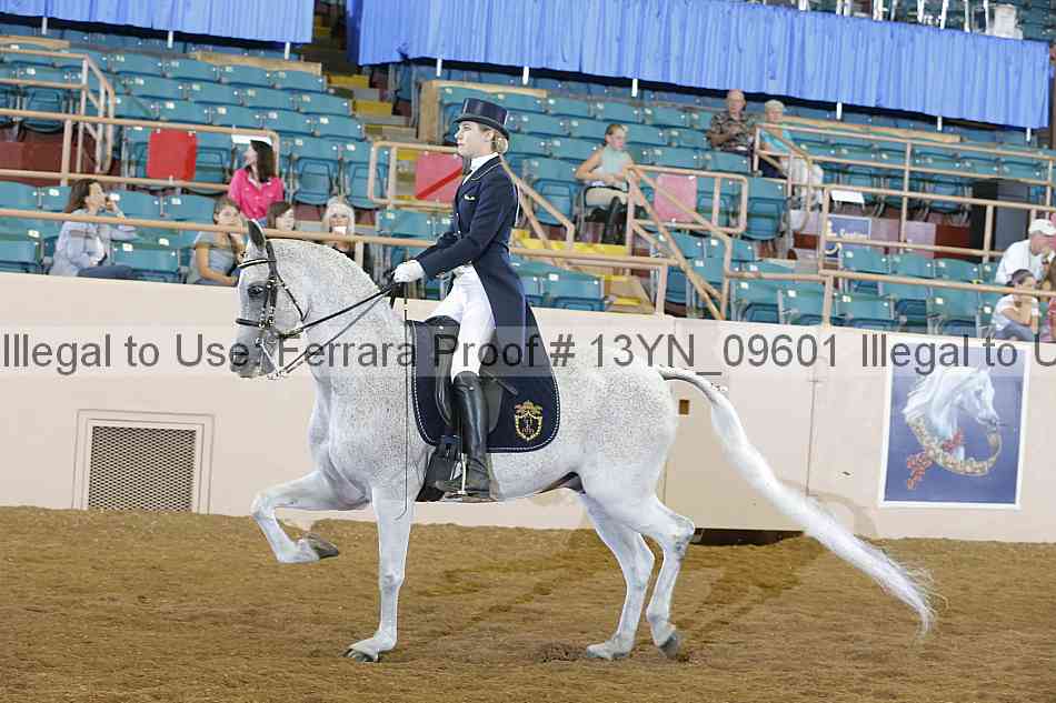 Proof 13yn_09601