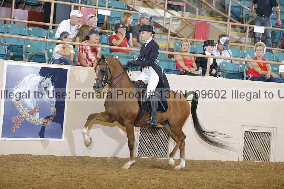 Proof 13yn_09602