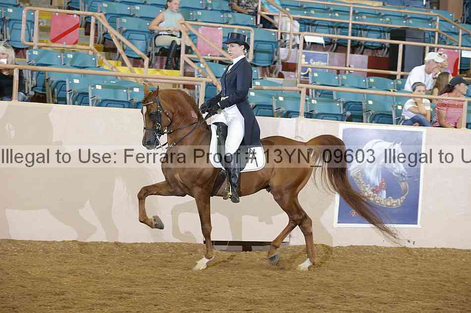 Proof 13yn_09603