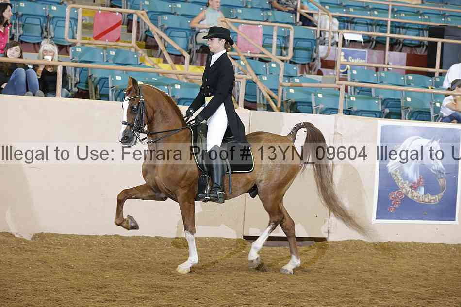 Proof 13yn_09604