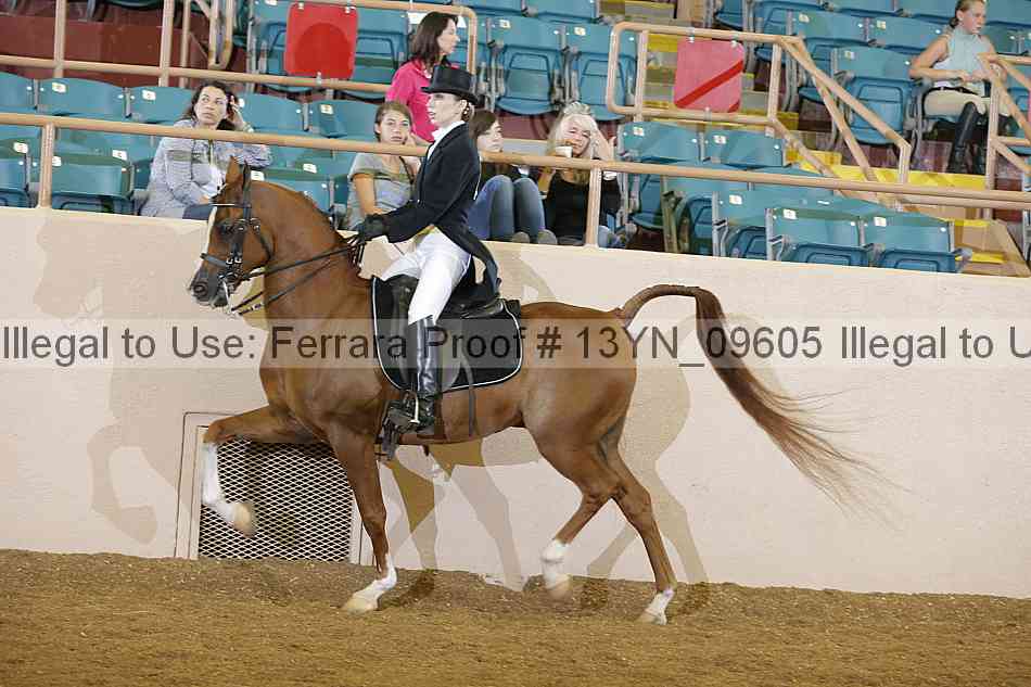 Proof 13yn_09605