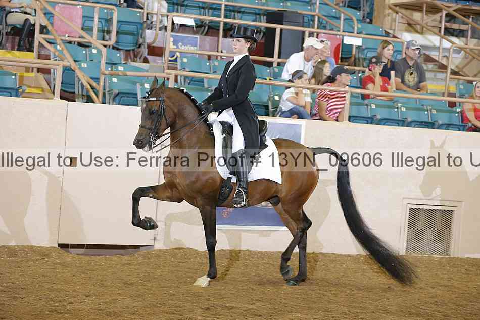 Proof 13yn_09606