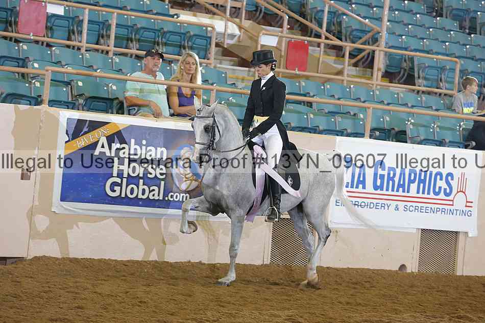 Proof 13yn_09607