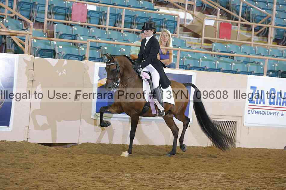 Proof 13yn_09608