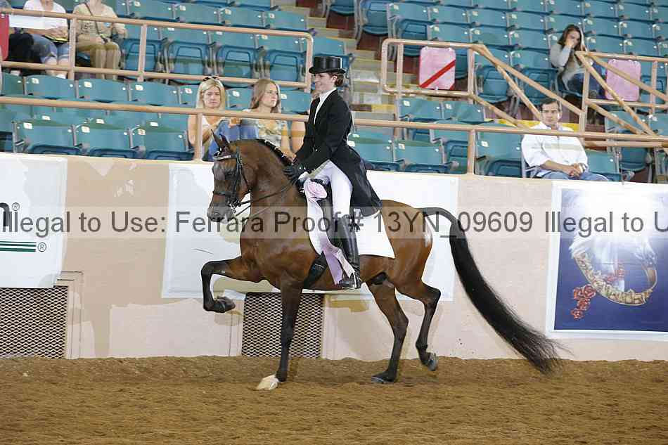 Proof 13yn_09609