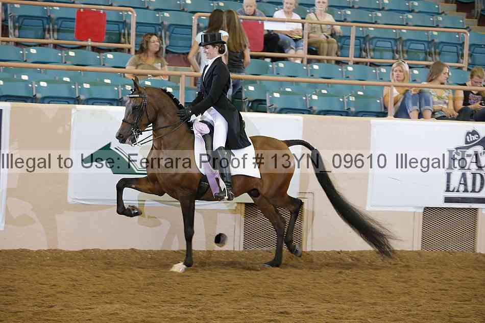Proof 13yn_09610