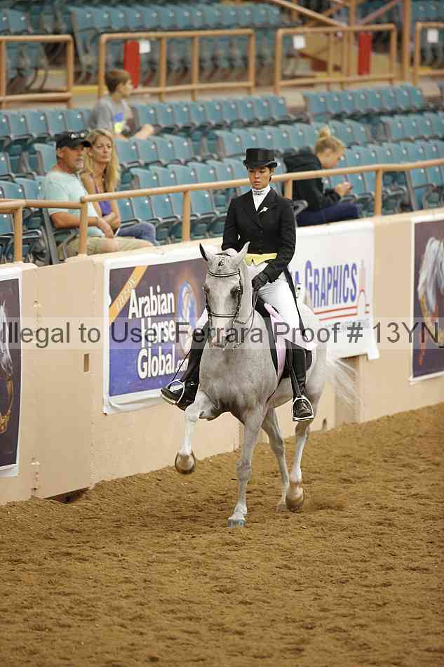 Proof 13yn_09611