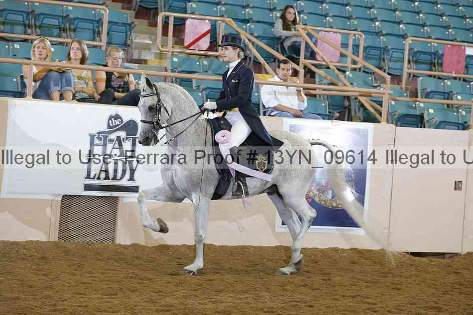 Proof 13yn_09614