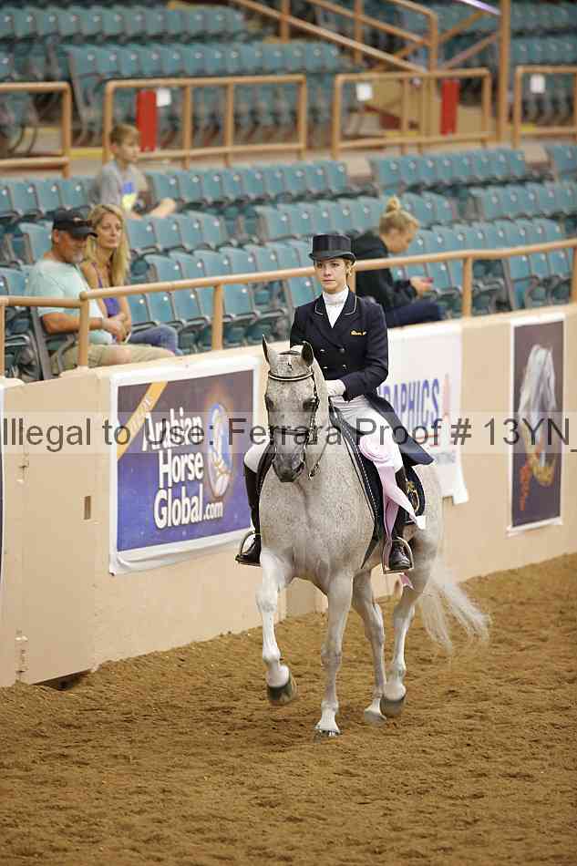 Proof 13yn_09615