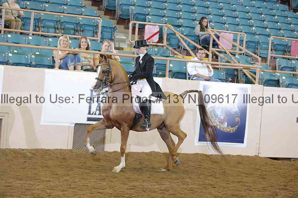 Proof 13yn_09617