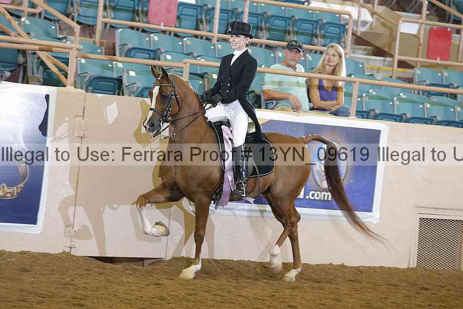 Proof 13yn_09619