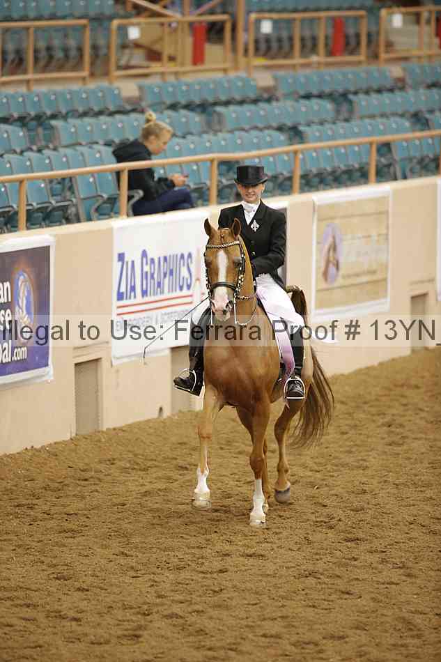 Proof 13yn_09621